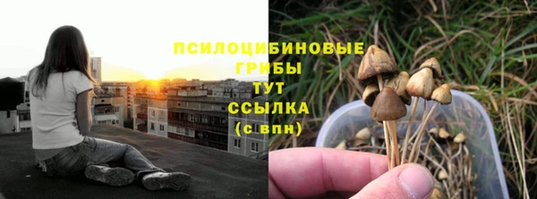 кокаин колумбия Богданович