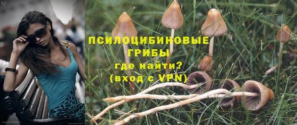 apvp Богородск