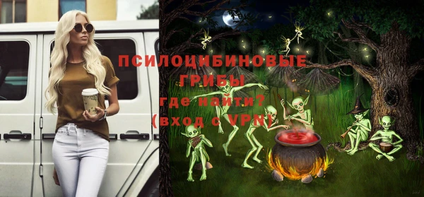 шишки Струнино