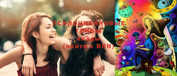 прущая мука Бородино